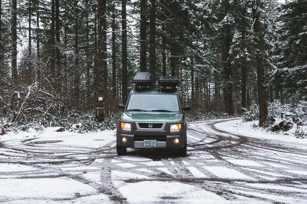 Internet Find: A Galapagos Green E in the snowy woods